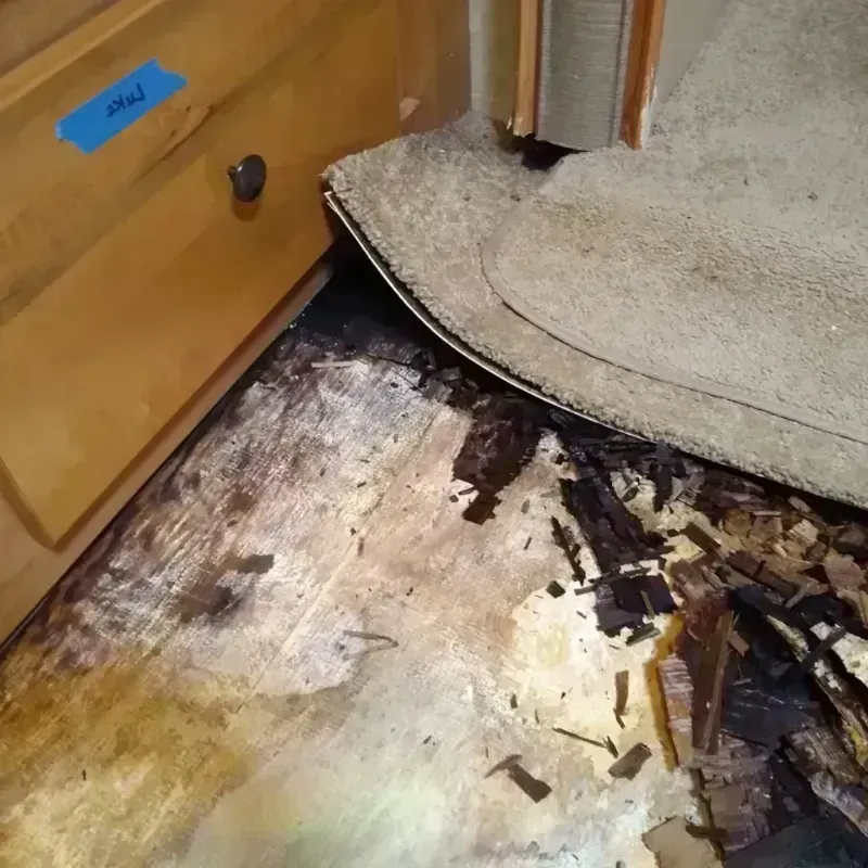 Wood Floor Water Damage in Warr Acres, OK